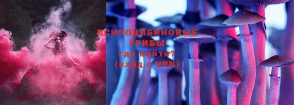 крисы Алексеевка