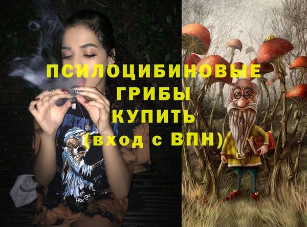 ALPHA PVP Новодвинск