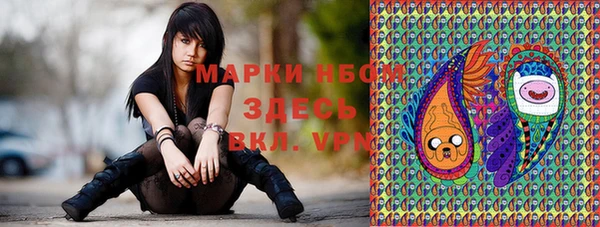 бошки Новозыбков