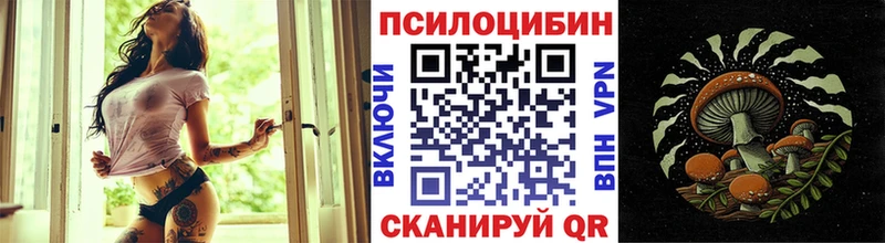 Псилоцибиновые грибы MAGIC MUSHROOMS  Чебоксары 