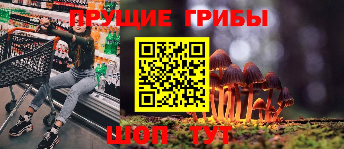Псилоцибиновые грибы мицелий Чебоксары