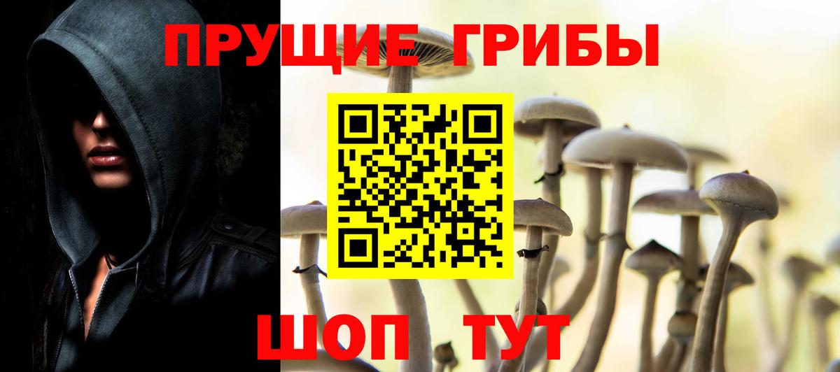 Чебоксары  Галлюциногенные грибы GOLDEN TEACHER  купить наркоту  Вход с VPN 